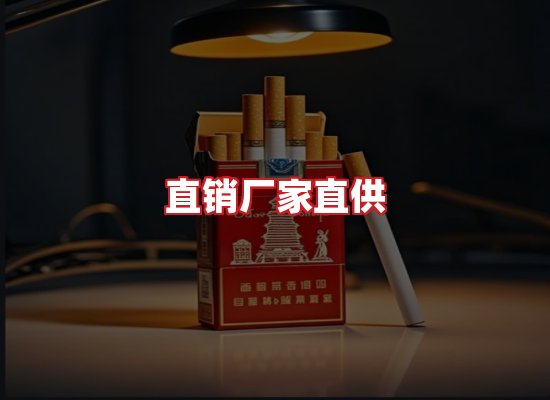 专业团队